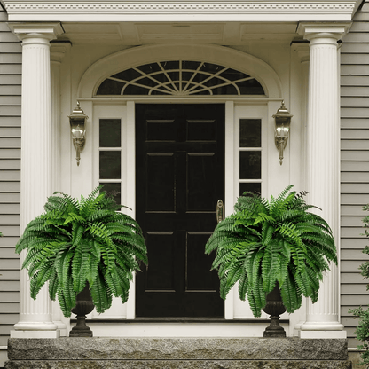Last Day 75% OFF--UV Resistant Lifelike Artificial Boston Fern🍀