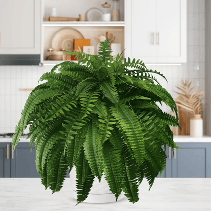 Last Day 75% OFF--UV Resistant Lifelike Artificial Boston Fern🍀